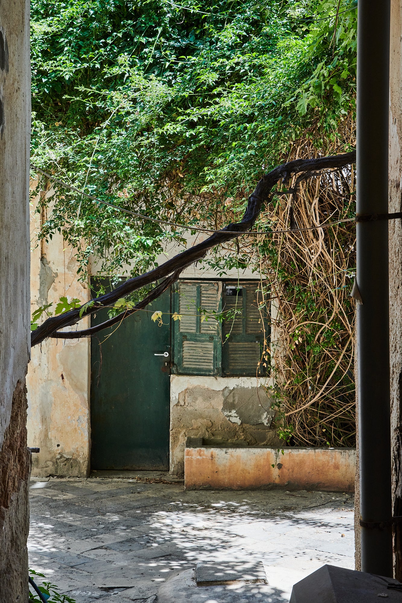 Green Courtyard