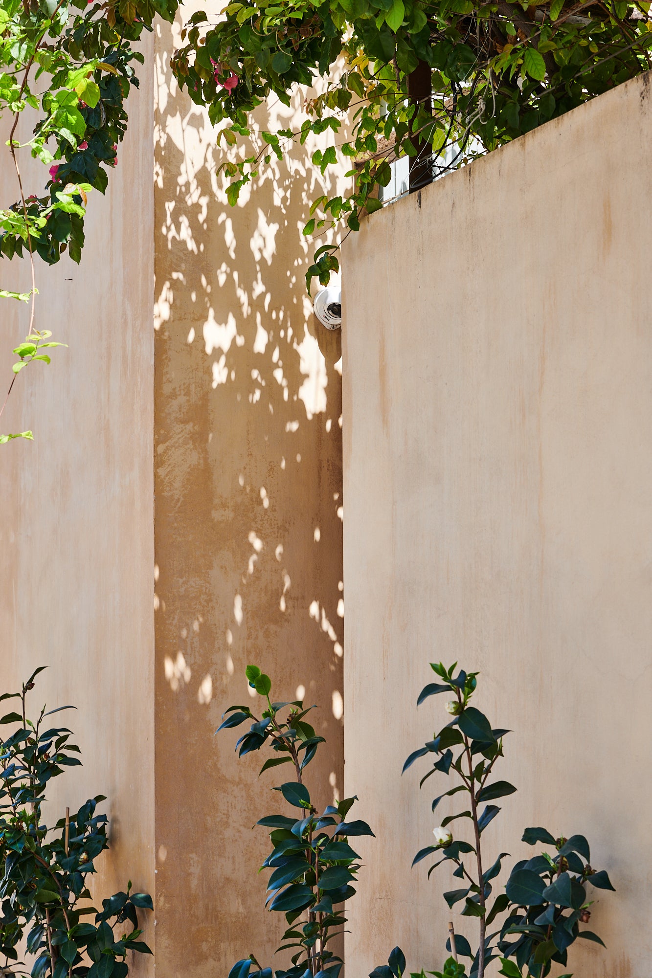 Wall with Sun Spots