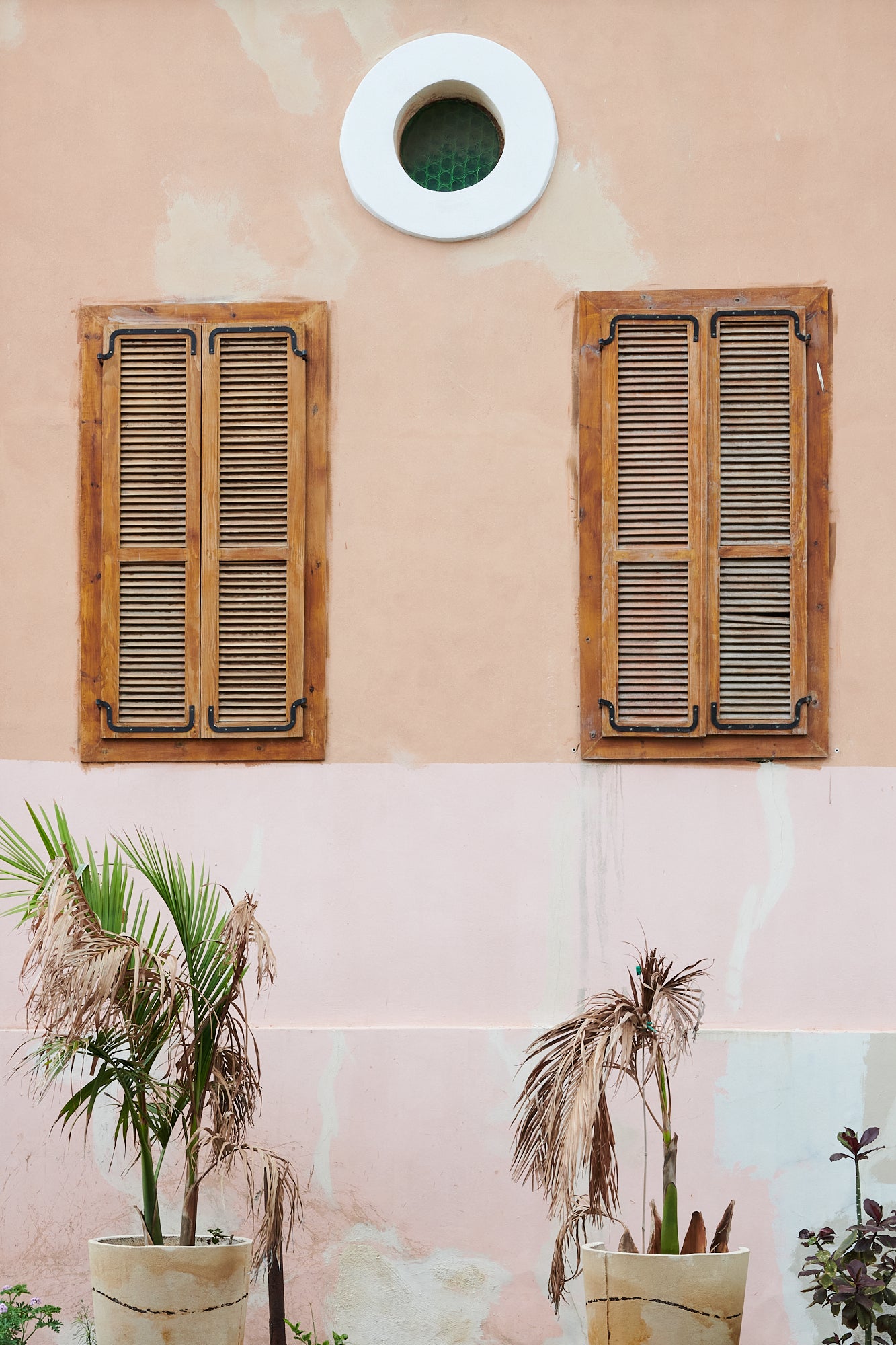 Wooden Windows