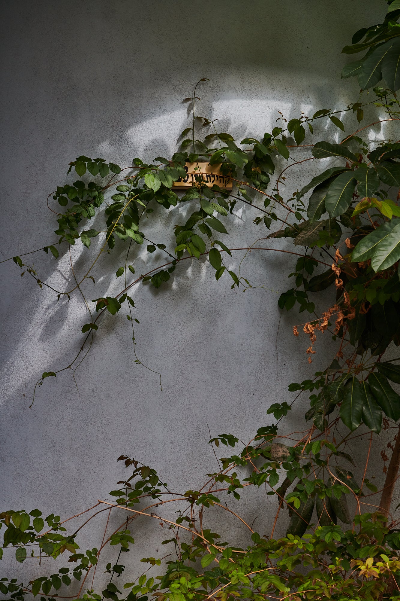 Hidden Street Sign