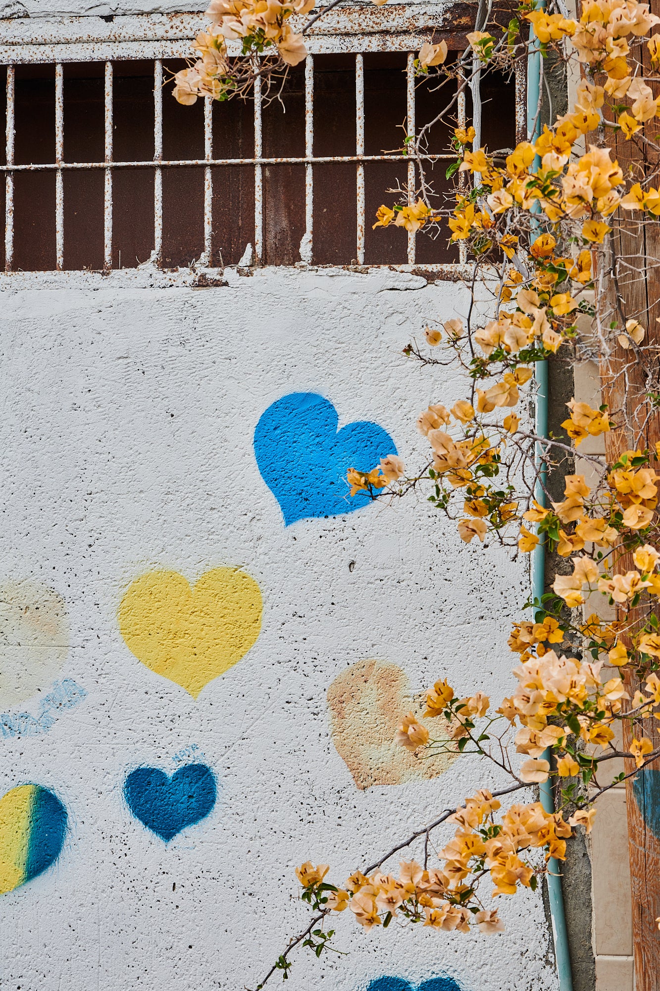 Hearts