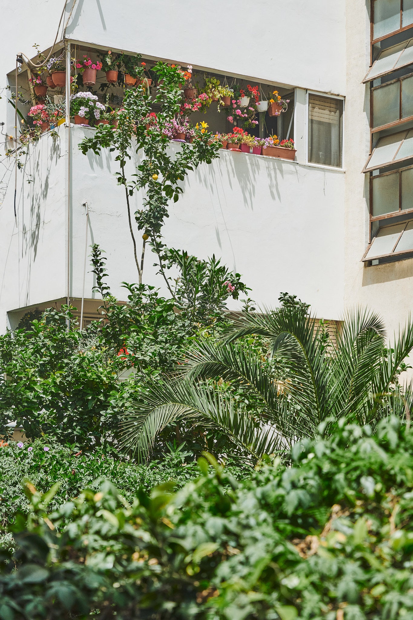 Garden Window