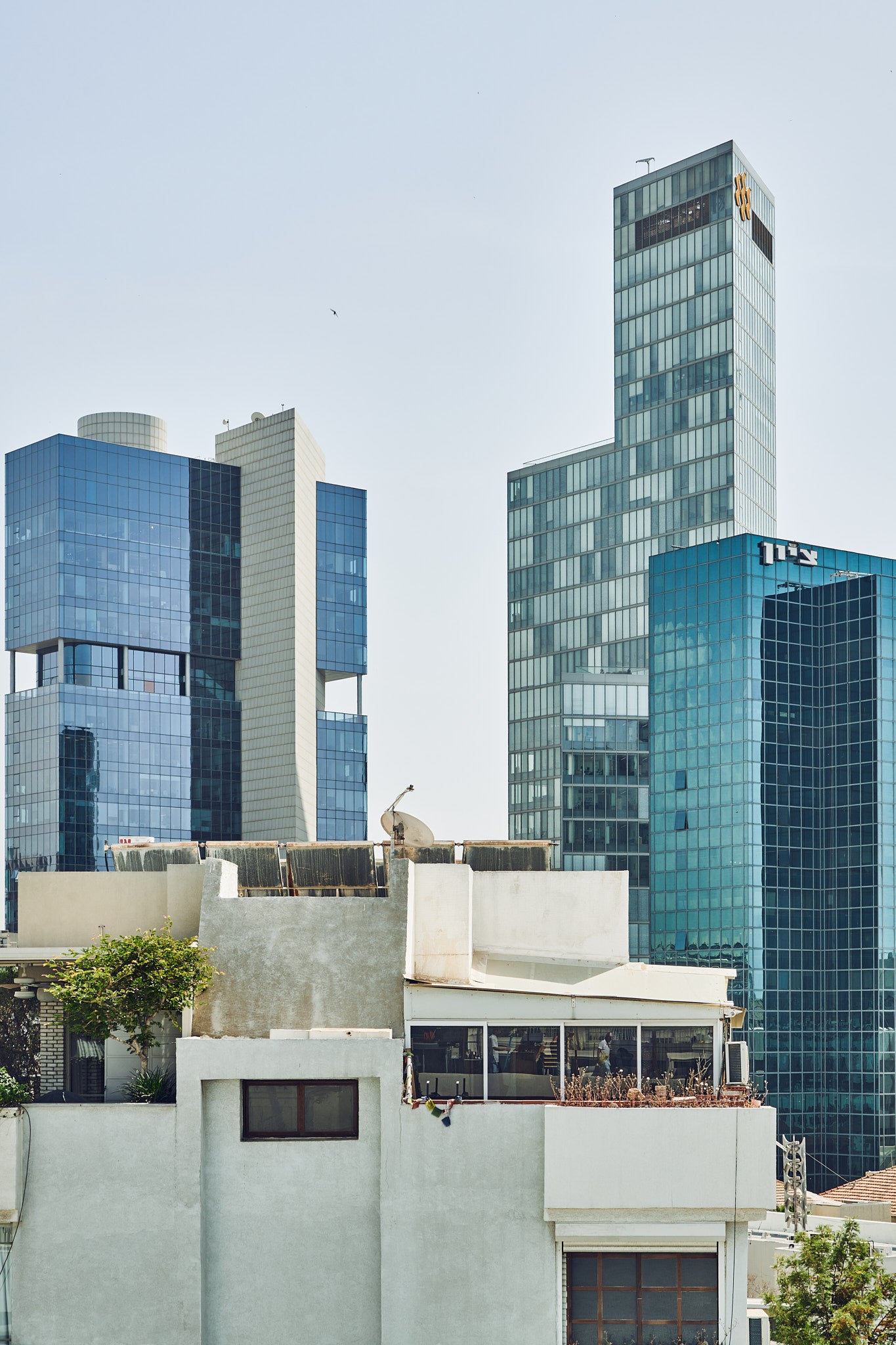 VIEW FROM NORMAN'S POOL