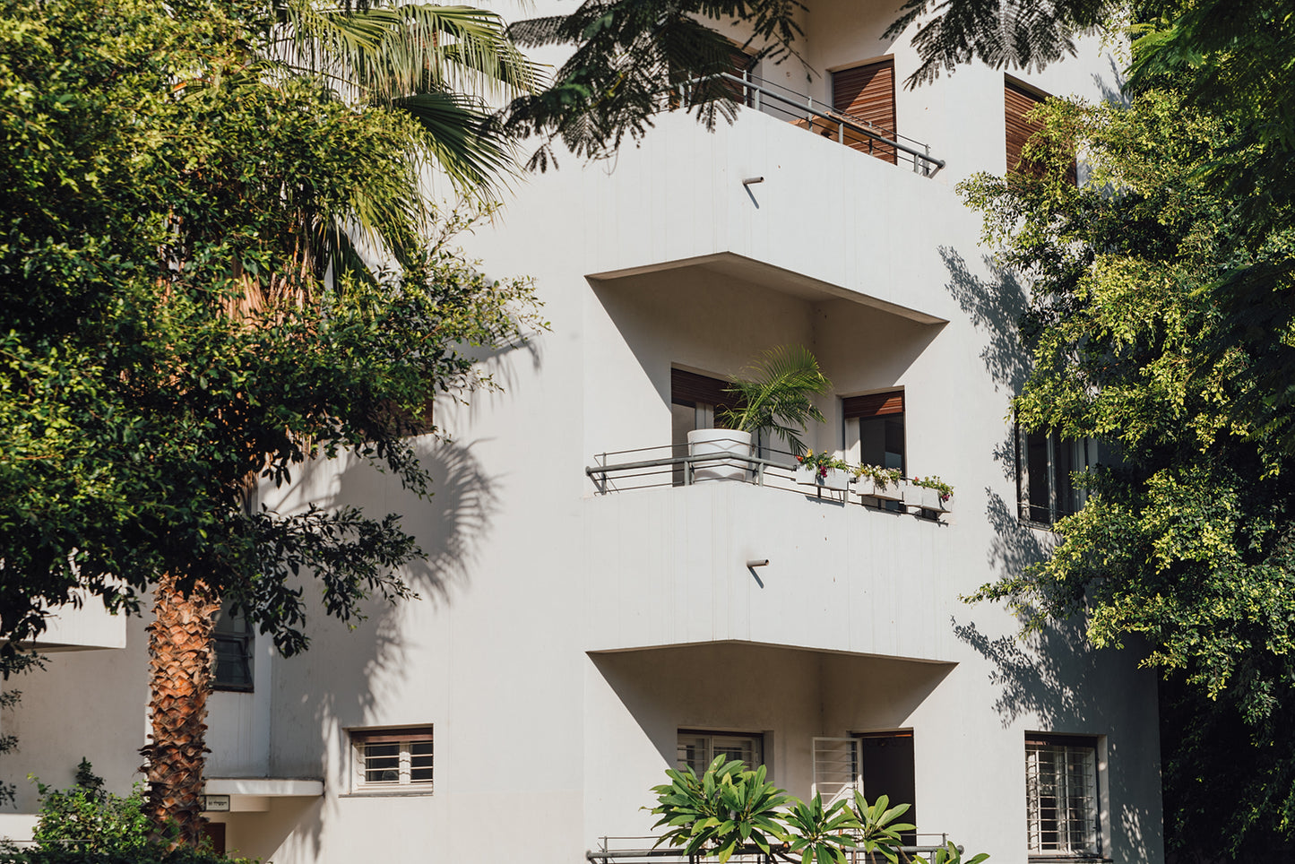 Balconies and Trees